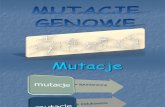 Mutacje genowe