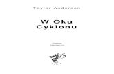 Anderson Taylor - Niszczyciel 01 - W Oku Cyklonu