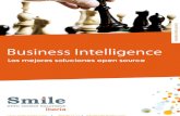 Smile Iberia Libro Blanco Business Intelligence CAST