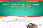 Anatomia e Histologia de Oido Medio