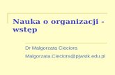 6. Nauka o Organizacji_wstep