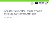 Analiza strukturalna i modelowanie białek spliceosomu ludzkiego - prezentacja doktorska, polski