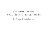 Metabolisme Protein-Asam Amino dr tony