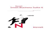 Novell Small Bussines Suite 6