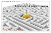 pdf - Efektywna organizacja - Manage or Die Inspirations 2010