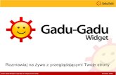 Gadu Gadu Widget (Przycisk)