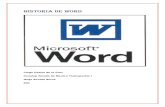 Historia de word 301