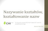 Nazywanie kształtów, kształtowanie nazw (CHI Polska 2011)