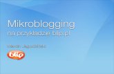 Mikroblogging na przykladzie blip.pl - Marcin Jagodzinski