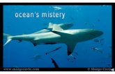 Oceans Mistery