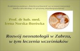 Rozwój neonatologii w zabrzu, w tym leczenia wcześniaków -- prof. zw. dr hab. med. Irena Norska-Borówka