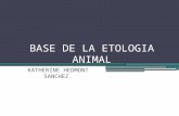 Base de la etologia animal