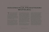 Magdalena Staniszkis, Kolonizacja przestrzeni wspólnej, Przestrzenie kolonialne