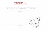 Strategia grupy kapitałowej Pepees na lata 2013-2018