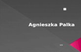 Jaworzno moje miasto -Agnieszka Palka - WSB