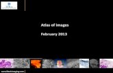 LLTECH LIGHT-CT SCANNER IMAGE ATLAS