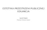 Jacek Piątek, Urząd Miejski w Gdyni - Estetyka przestrzeni publicznej – edukacja;