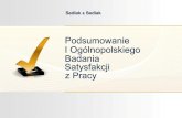 Sedlak & sedlak raport podsumowanie ogólnopolskiego badania satysfakcji z pracy