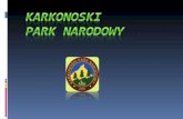 karkonowski park narodowy