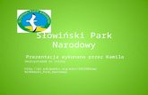 Słowiński park narodowy