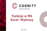 Cognity Kurs Excel - Funkcje programu MS Excel,  wykresy