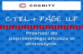 Skrót klawiaturowy Ctrl+page up