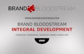 BrandBloodstream - Integral Development