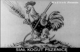 Diaskop 02 - Siał kogut pszenicę (Sowed Wheat Cock)