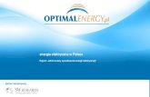 Optimalenergy.pl   Raport: Jakich znamy sprzedawców energii elektrycznej-2013-02-18