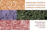 Biofilmy i quorum sensing w praktyce medycznej