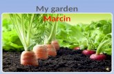 My garden by Marcin