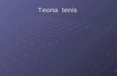 Teoria tenis