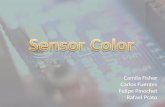 Sensor color