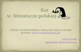 Kot w literaturze polskiej