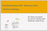SAP Business One starter package