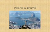Polonia w brazylii