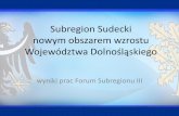 Subregion Sudecki nowym obszarem wzrostu Województwa Dolnośląskiego - wyniki prac Forum Subregionu III