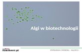 Algi w biotechnologii final2