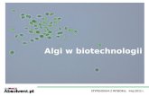 Algi w biotechnologii v1