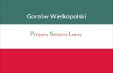 Program wyborczy Maciej Szykuła PSL Gorzów Wielkopolski 2014