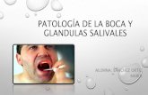 Patologia de la boca y gl. salivales  maria sanchez