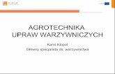 Презентація вирощування овочів (польський варіант)