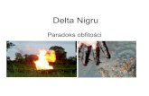 Delta Nigru - paradoks obfitości