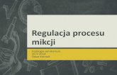 Regulacja procesu mikcji