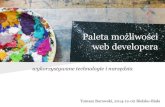 Paleta możliwości web developera