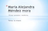Alejandra Mendez