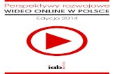 Perspektywy wideo online w Polsce 2014r.
