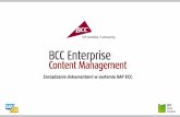 Zastosowania systemu BCC ECM