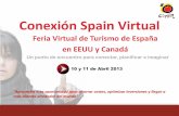 Conexion Spain Virtual 2013