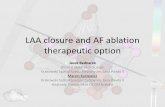 LAA ligation and ablation - dr Marcin Kuniewicz
